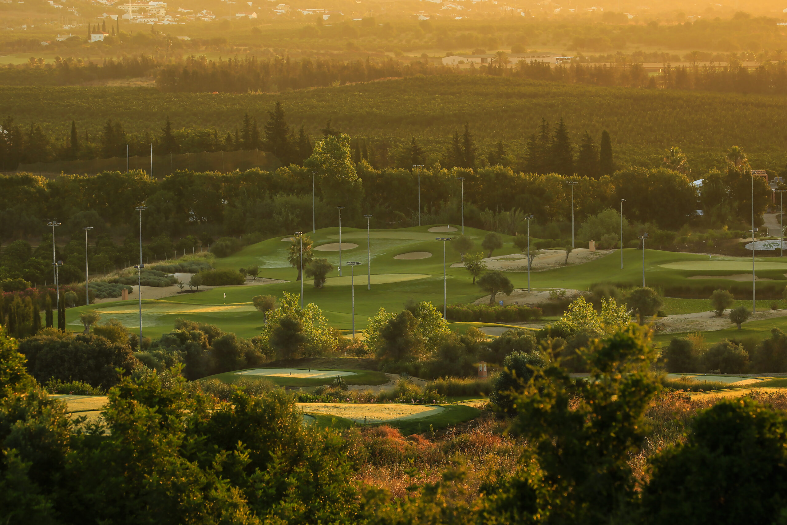 AGR_Academy PAR 3