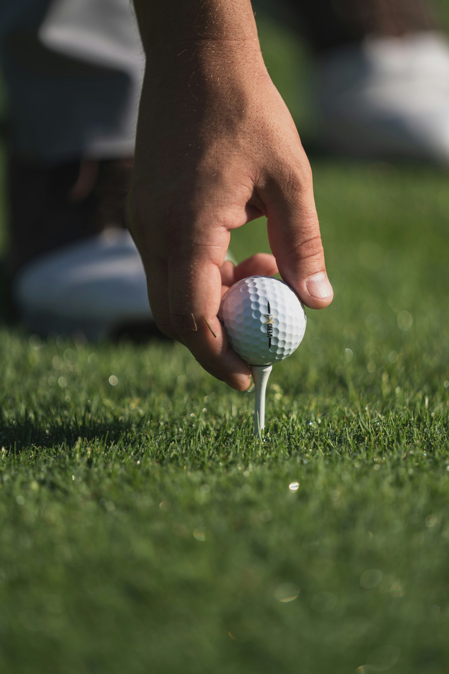 golf_24