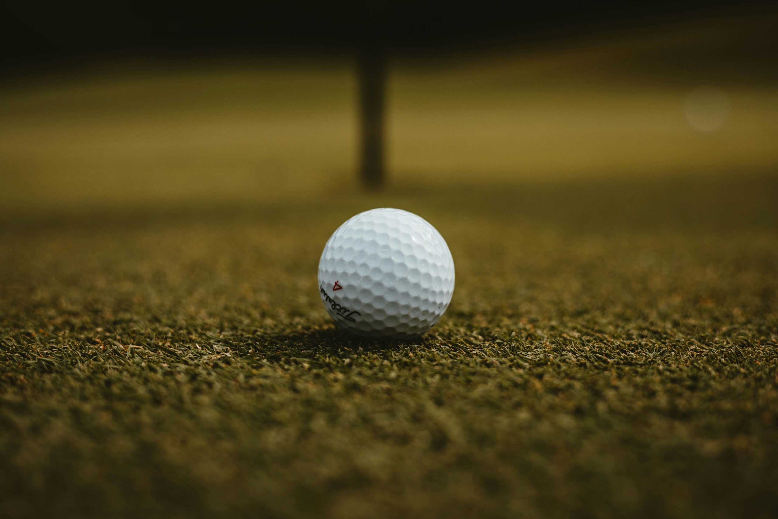 will-porada-yvMyVd5wj7A-unsplash